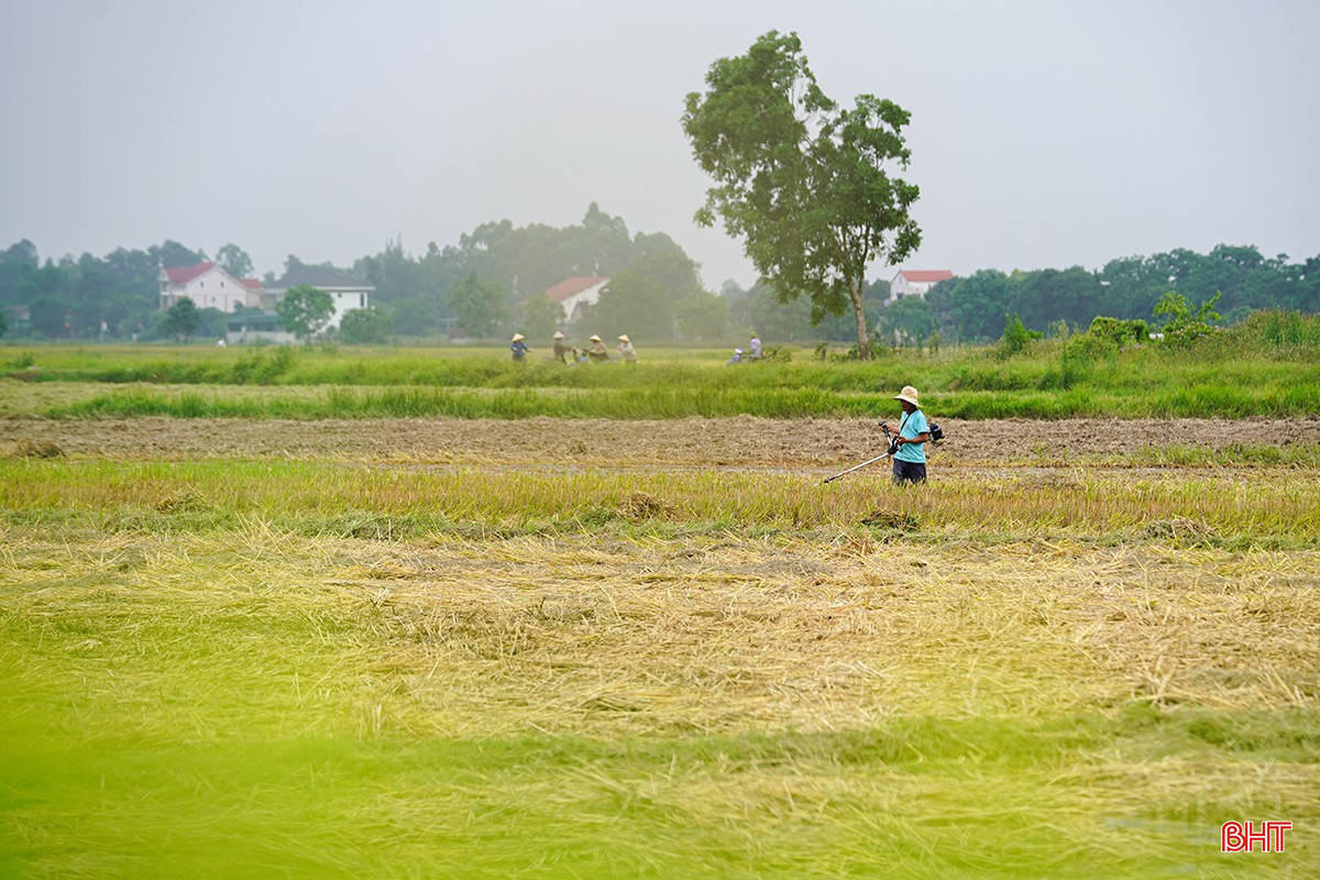 ប bqbht_br_1dsc02627.jpg