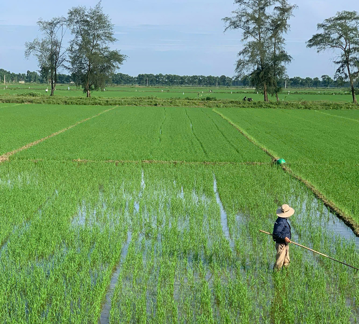 การเปลี่ยนผ่านสู่การผลิตเกษตรอินทรีย์ - ทิศทางการพัฒนาอย่างยั่งยืน