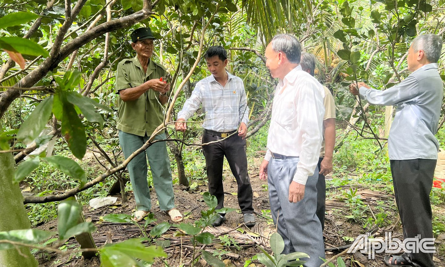 Hội viên CCB tích cực phát triển kinh tế, vươn lên làm giàu.                                                                      Ảnh: PHƯƠNG MAI