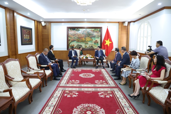 Thúc đẩy hơn mối quan hệ hữu nghị giữa Việt Nam - Cộng đồng thịnh vượng chung Dominica - Ảnh 2.