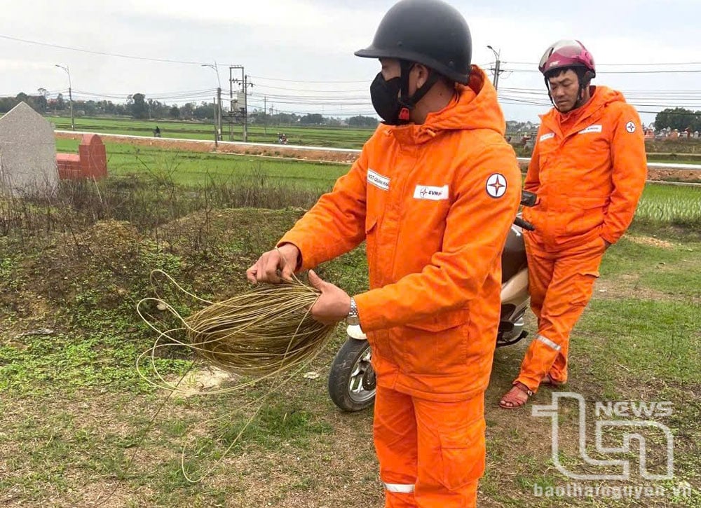 Cán bộ Điện lực TP. Phổ Yên xử lý sự cố về điện do thả diều tại DDZ471E67 nhánh Đắc Sơn 1.