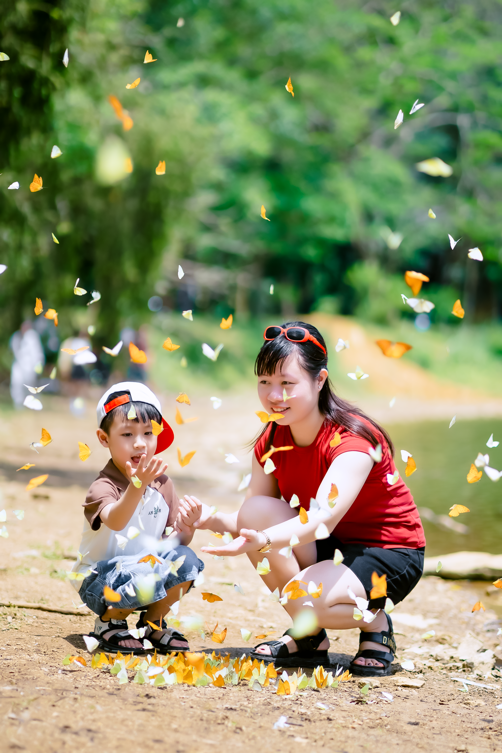Hơn 400 loài bướm khoe sắc níu chân du khách trong rừng Cúc Phương - 2
