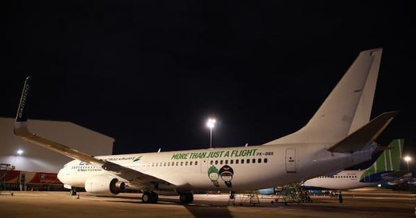 Bamboo Airways បន្ថែមយន្តហោះថ្មី ដើម្បីស្វាគមន៍រដូវក្តៅឆ្នាំ 2025