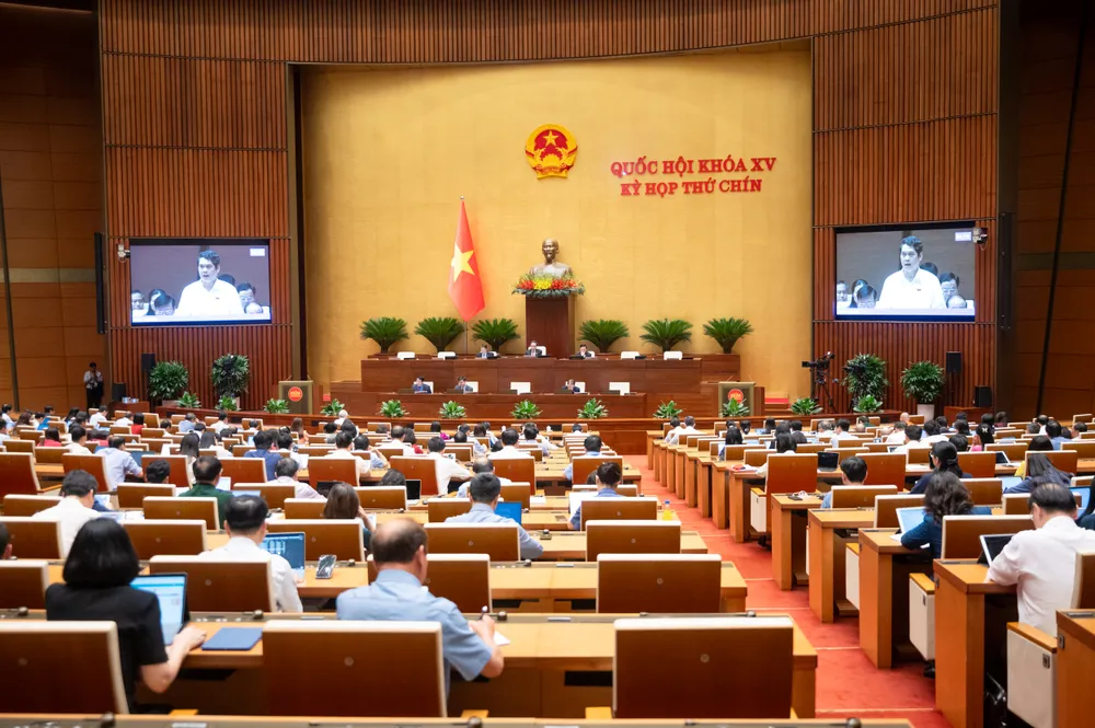 Z61_5690.jpg