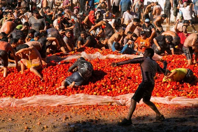introduction-to-the-tomato-spring-festival.webp