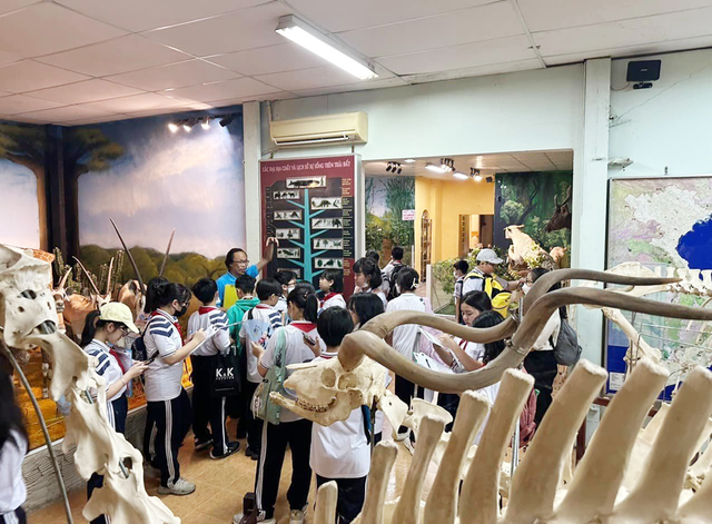 Rà soát, chấn chỉnh hoạt động ngoại khóa - Ảnh 1.