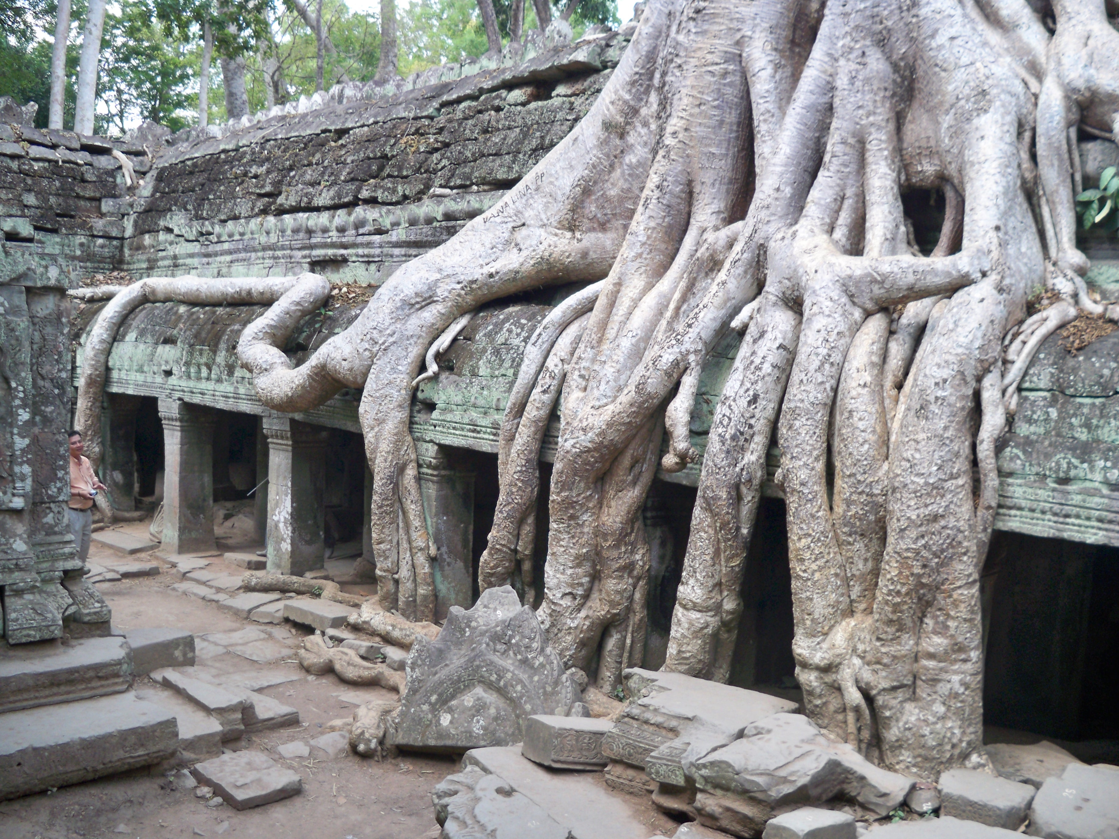 Ta Prohm – Wikipedia tiếng Việt
