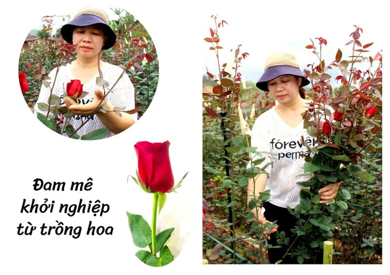 anh-ghep-sua.jpg