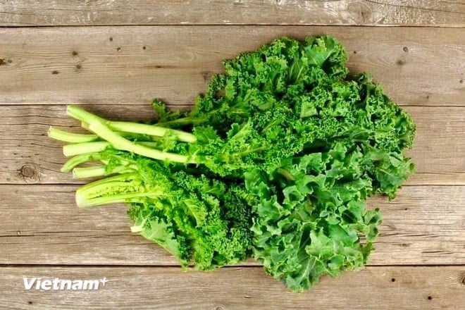 vnp-cai-kale.jpg