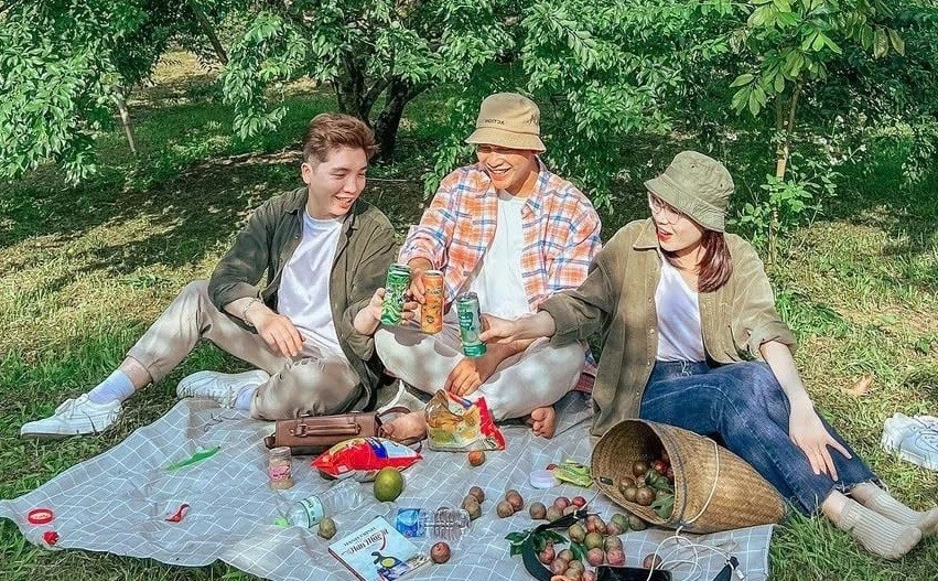 Đến Mộc Châu mùa hái mận, chọn tour thế nào?