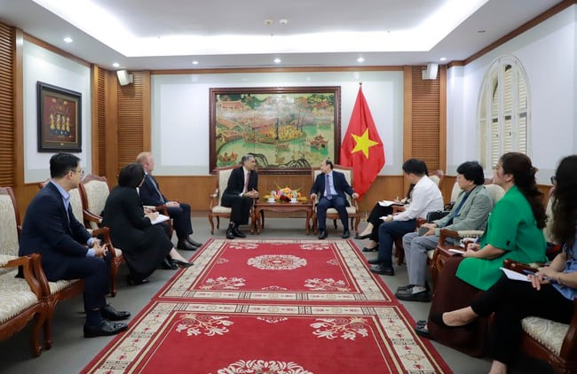 Thứ trưởng Thường trực Lê Hải Bình tiếp Phó Chủ tịch Hiệp hội Điện ảnh Hoa Kỳ James Cheatley - Ảnh 1.
