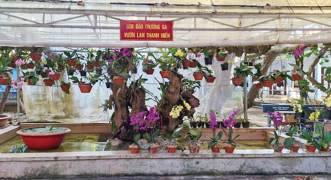 Vườn hoa phong lan mang đậm dấu ấn phố hoa Đà Lạt, nơi các chiến sĩ trưng bày,
nuôi dưỡng những chậu hoa lan do Công ty YSA Orchid (Đà Lạt) gửi tặng