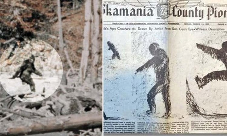 bigfoot-1-1.jpg