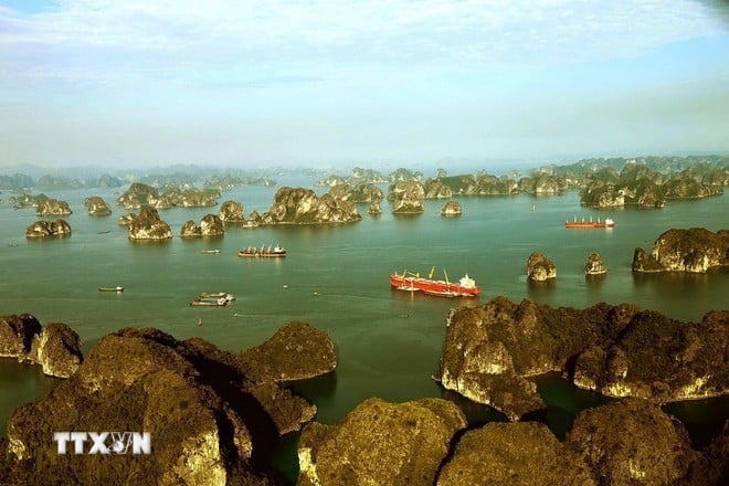 Vịnh Bái Tử Long với hàng nghìn hòn đảo lớn, nhỏ trong sắc xanh của biển, sắc vàng của nắng tạo nên khung cảnh "sơn thủy hữu tình" đầy kỳ thú. (Ảnh: Phạm Hậu/TTXVN)