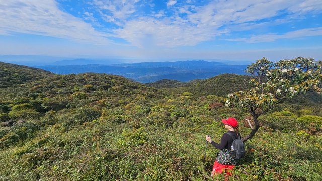 Khám phá Trekking đỉnh Voi Mẹp - nóc nhà Quảng Trị đầy thú vị - Ảnh 1.