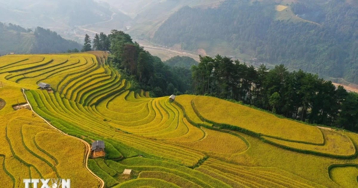 Mu Cang Chai (Yen Bai) ស្ថិតនៅលំដាប់កំពូលទាំង 6 ដ៏ស្រស់ស្អាត ប៉ុន្តែមិនសូវស្គាល់នៅប្រទេសវៀតណាម