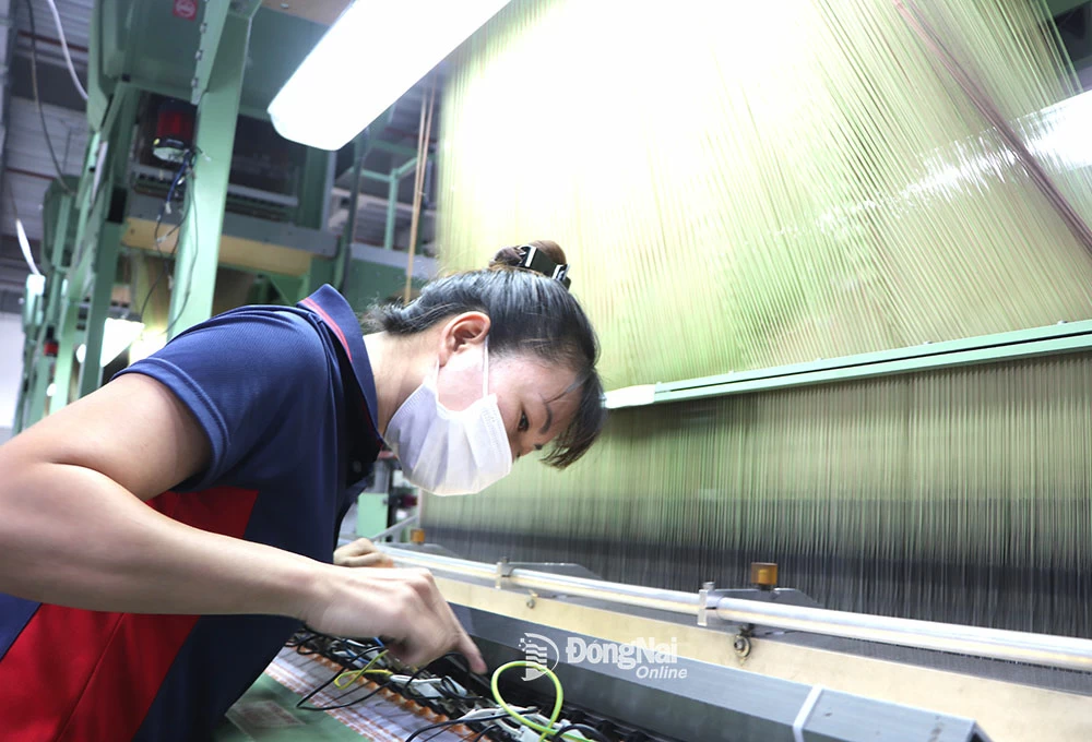 Nhiều doanh nghiệp dệt may sẽ bị ảnh hưởng từ chính sách thuế đối ứng của Mỹ. Ảnh:N. Liên