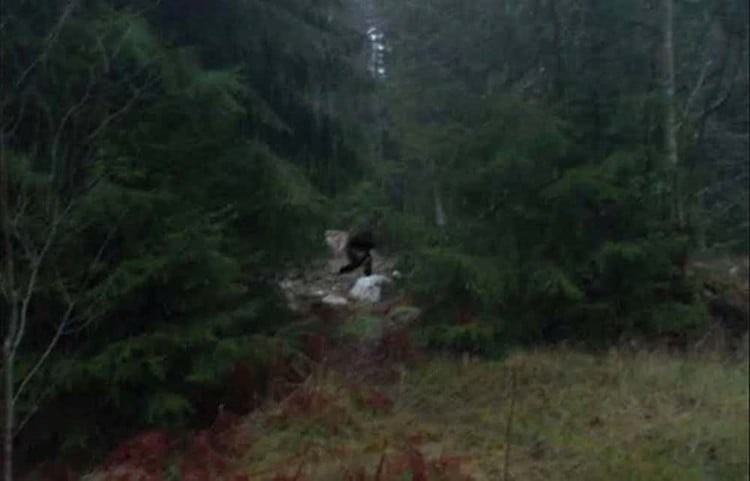 bigfoot-3-1.jpg