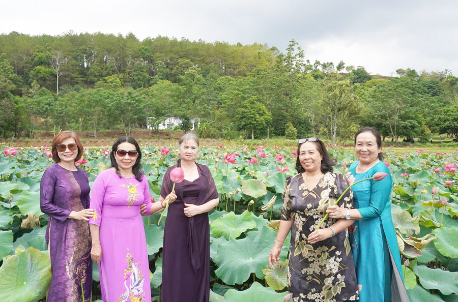 nhieu-du-khach-mac-ao-dai-khong-ngai-len-loi-giua-nhung-dam-sen-tim-kiem-cho-minh-nhung-khung-hinh-dep-nhat-anh-dong-lai.jpg