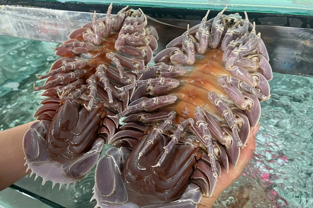 レストランで一匹あたり数百万ドンの値段がつけられている海の生き物は何だろうか？ - 2