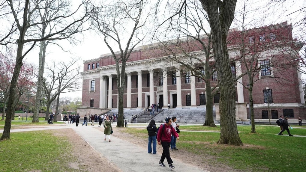 Căng thẳng Harvard: Du học sinh sợ dự tốt nghiệp, tân sinh viên sợ nhập học - 3