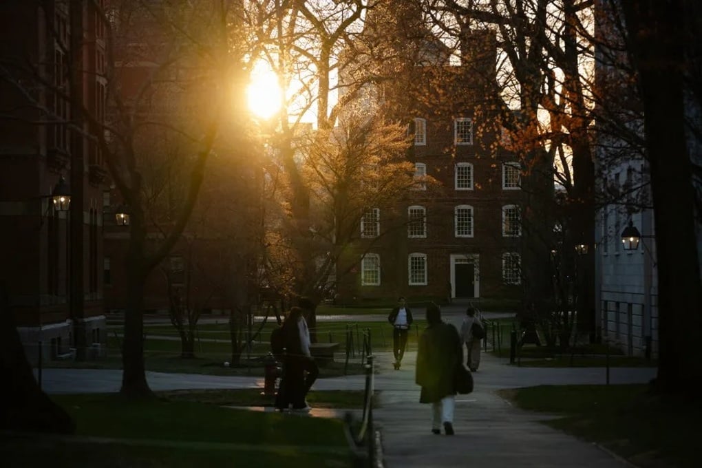 Căng thẳng Harvard: Du học sinh sợ dự tốt nghiệp, tân sinh viên sợ nhập học - 2