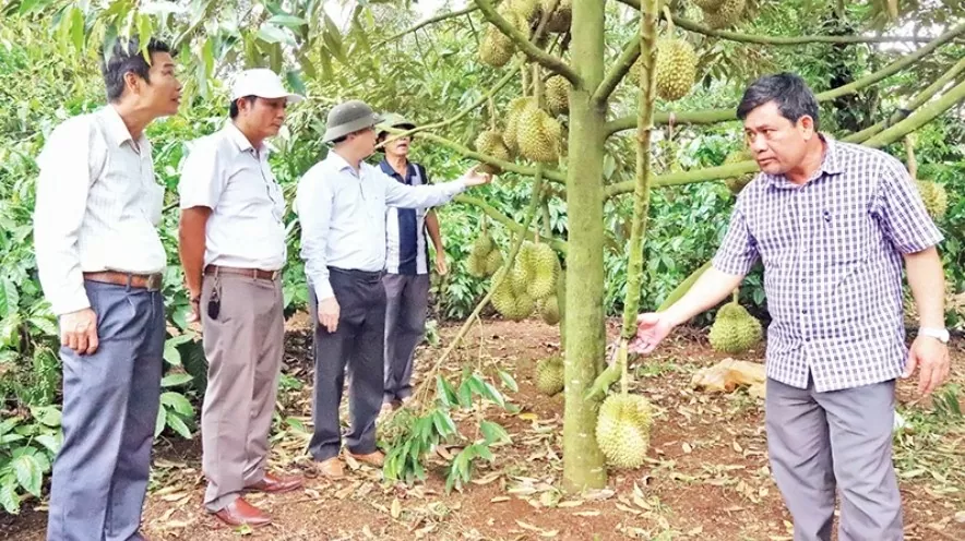 Tin Công Thương 29/5: