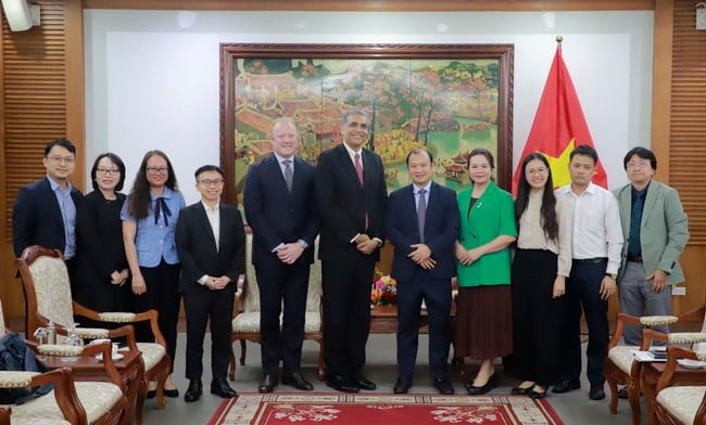 Thứ trưởng Thường trực Lê Hải Bình tiếp Phó Chủ tịch Hiệp hội Điện ảnh Hoa Kỳ James Cheatley - Ảnh 5.