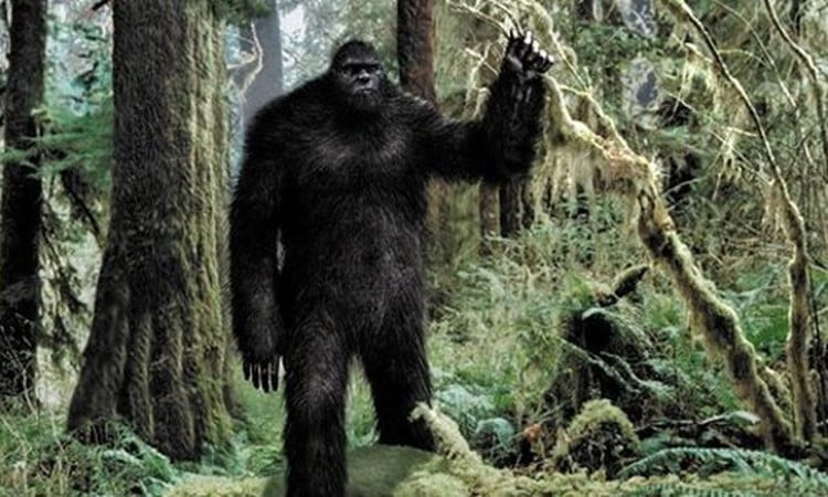 bigfoot-10-1.jpg