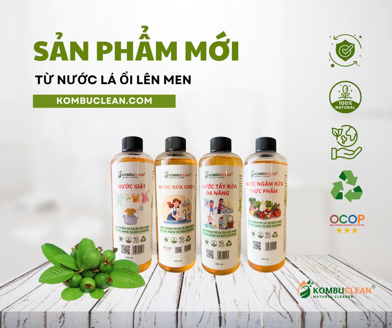 Nhân viên ngành thủy sản rẽ lối khởi nghiệp với lá ổi - Ảnh 2.