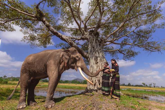 teaser-mv-con-sinh-ra-la-de-phi-thuong17.jpg