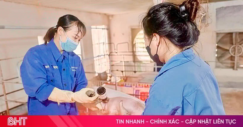 Tăng “sức đề kháng” cho cây trồng, vật nuôi trong mùa nắng nóng