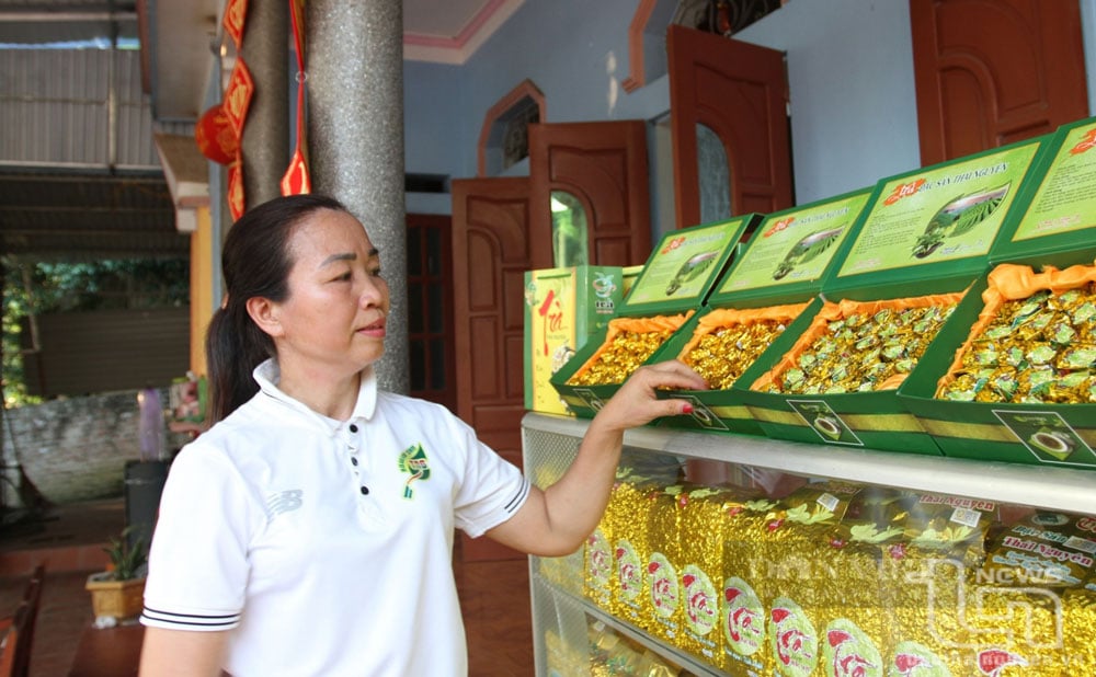 Từ việc ứng dụng công nghệ số vào sản xuất, nông dân Thái Nguyên đã tạo ra nhiều sản phẩm trà an toàn, đáp ứng nhu cầu thị trường.