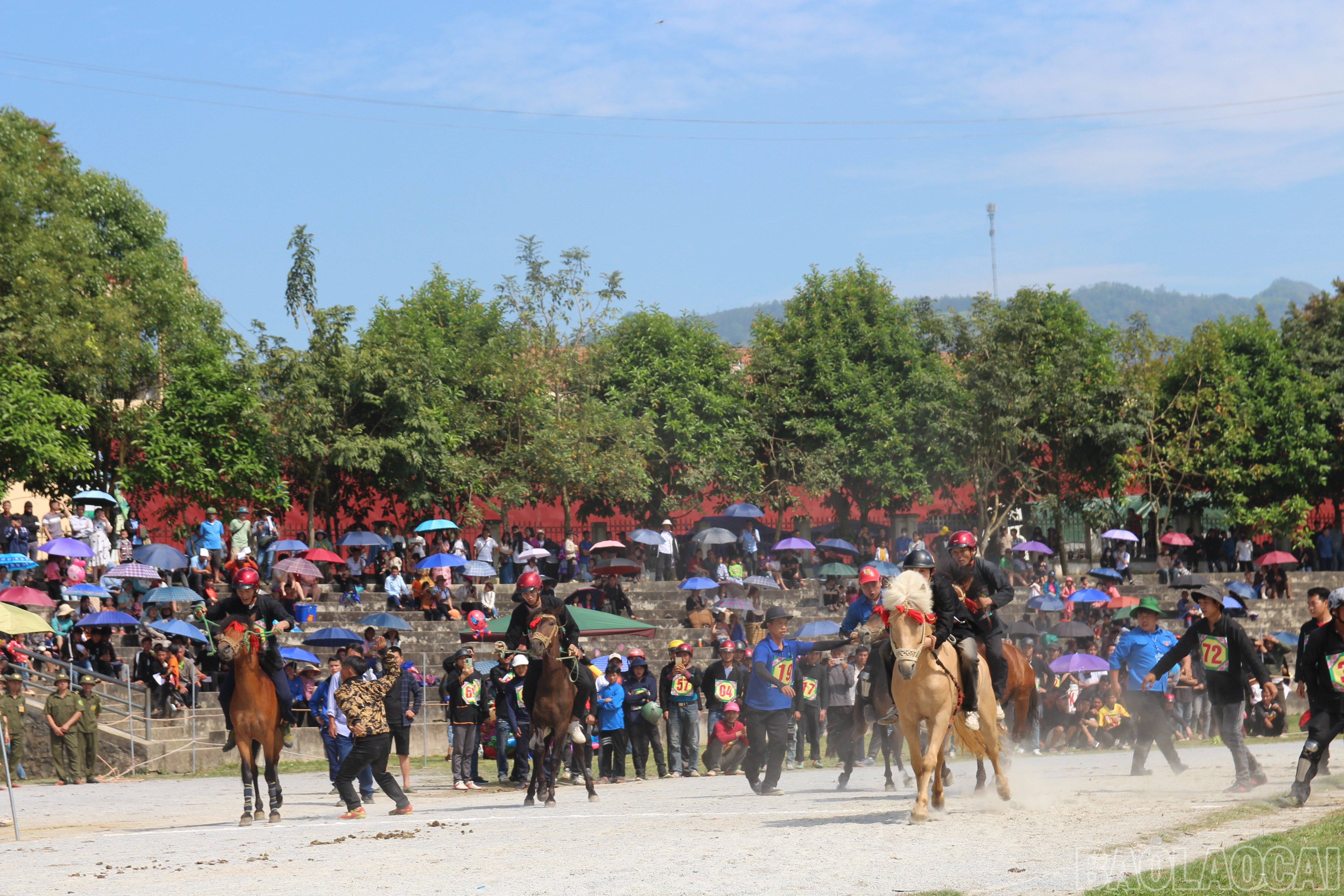 baolaocai-br_img-0939.jpg