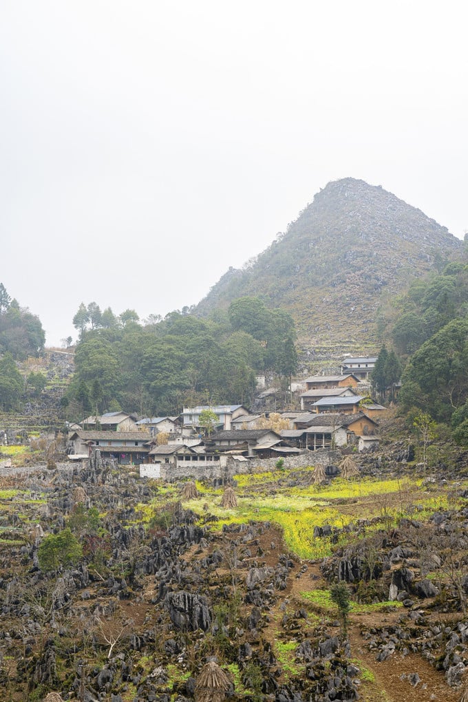 Sắc hoa tô điểm cho những ngôi nhà trên Cao nguyên đá Đồng Văn, Hà Giang. Ảnh: Khánh Hoà/TTXVN