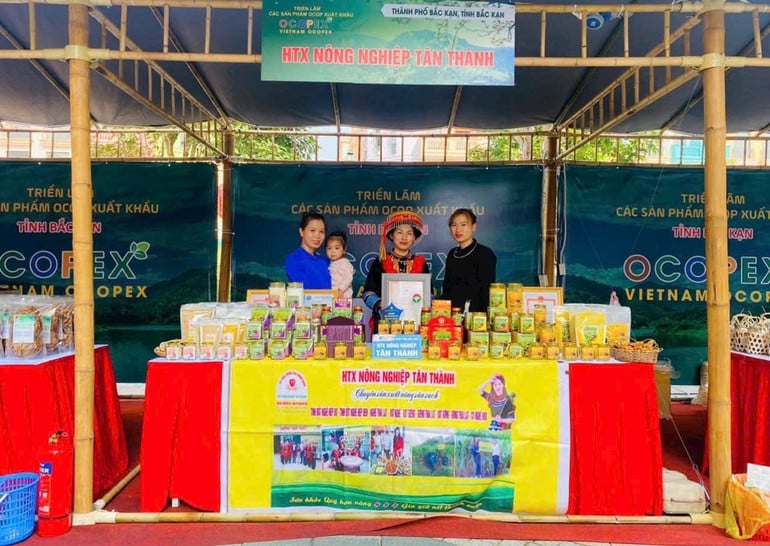 t5-cac-san-pham-nghe-cua-htx-nong-nghiep-tan-thanh-xa-nong-thuong-tp-bac-kan.jpg