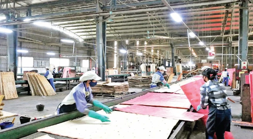 Hà Giang tạo giá trị lớn từ rừng trồng