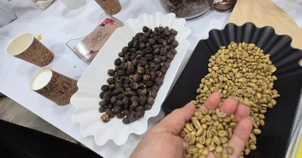 Prix ​​du café aujourd'hui 3-5 : tendance à la hausse, marché imprévisible