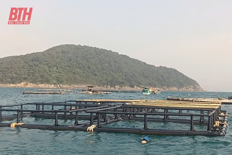 Nouvelle vie sur l'île de Me