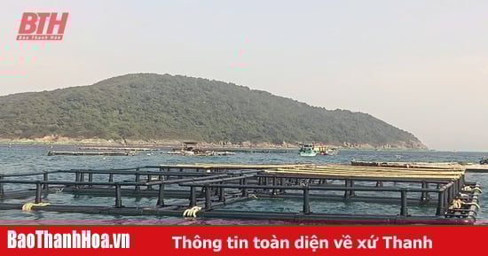 ជីវិតថ្មីនៅលើកោះខ្ញុំ