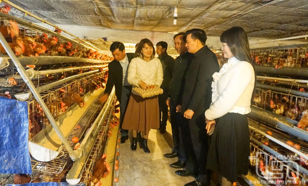 Nông nghiệp thời công nghệ số