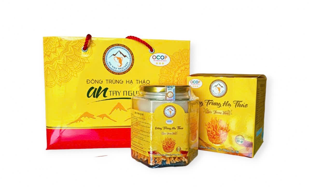 Thành công nhờ đa dạng hóa sản phẩm nước uống đông trùng hạ thảo- Ảnh 3.