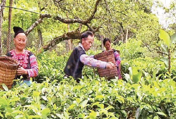 Củng cố khối đại đoàn kết bền chặt các dân tộc