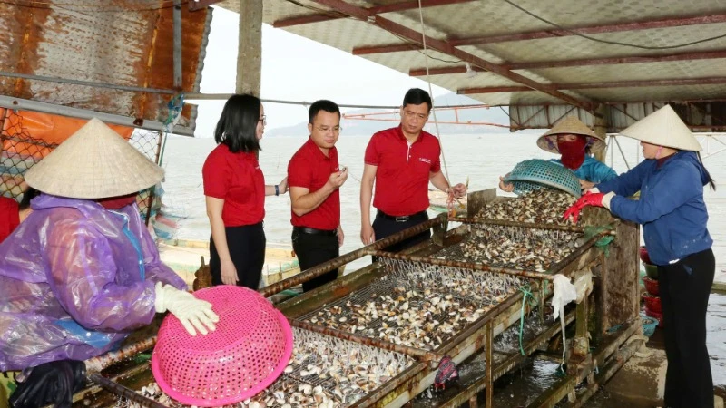 ការដោះស្រាយ "ការស្រេកឃ្លាន" សម្រាប់ដើមទុននៃសហករណ៍