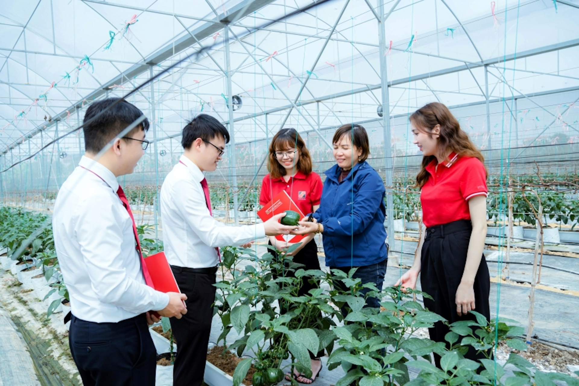  Ngân hàng Nông nghiệp và Phát triển nông thôn Việt Nam ưu tiên tín dụng cho mục tiêu tăng trưởng xanh, bền vững. Ảnh: THANH THUỶ