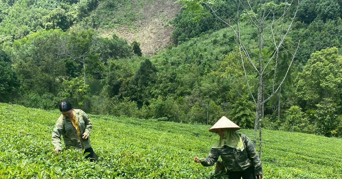 Na Rì vững bước trên con đường phát triển cùng đất nước