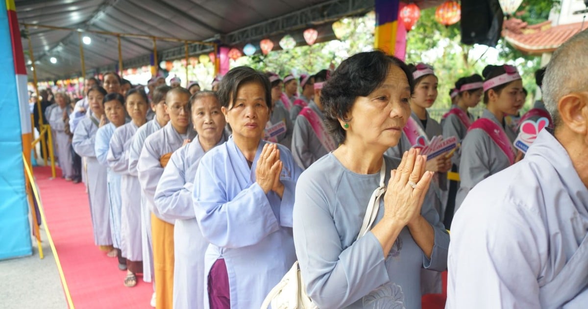 People line up to worship Buddha's relics at Vesak Festival