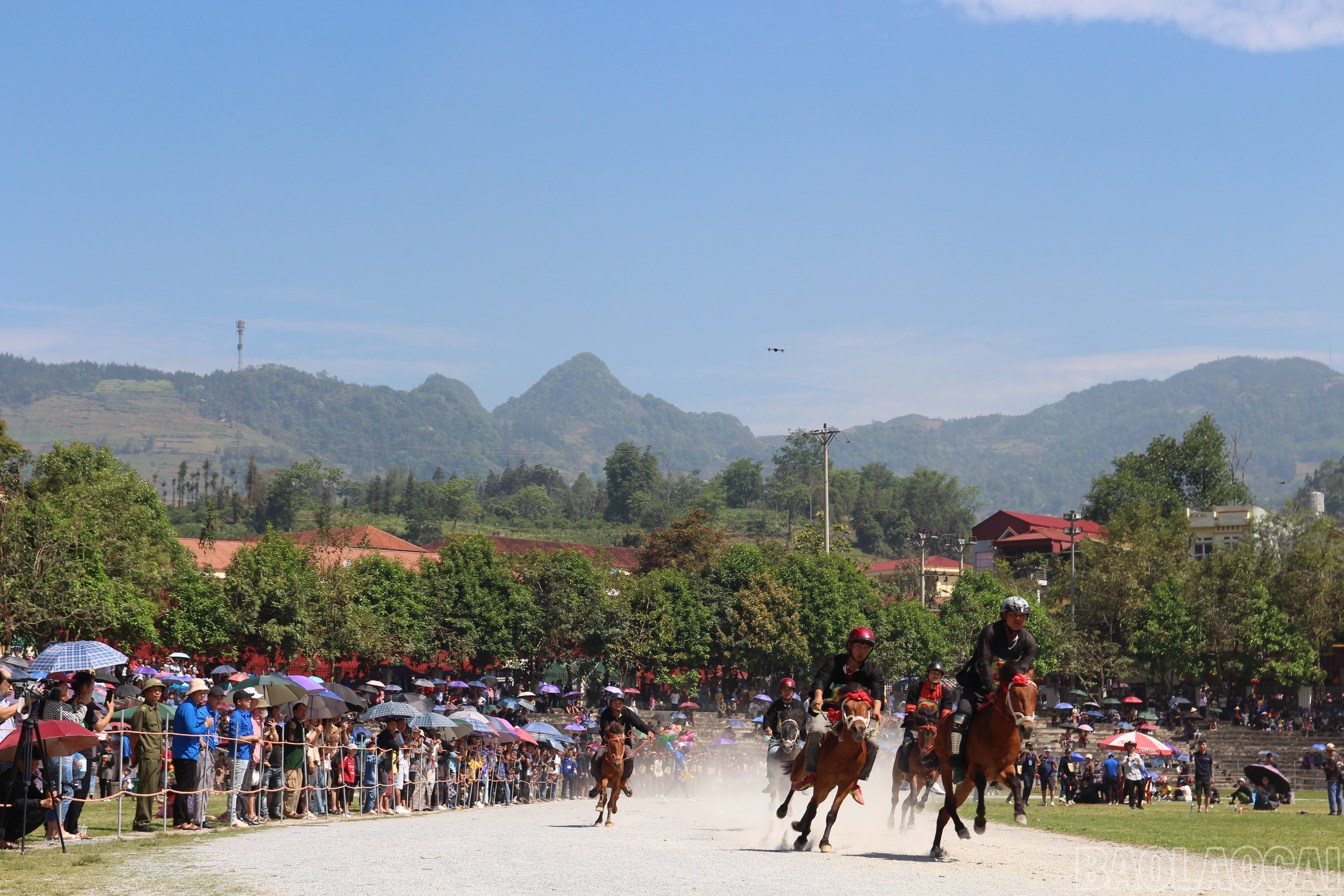 baolaocai-br_img-0978.jpg