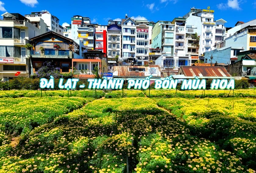 Thành phố Đà Lạt là thành phố Festival Hoa của Việt Nam.