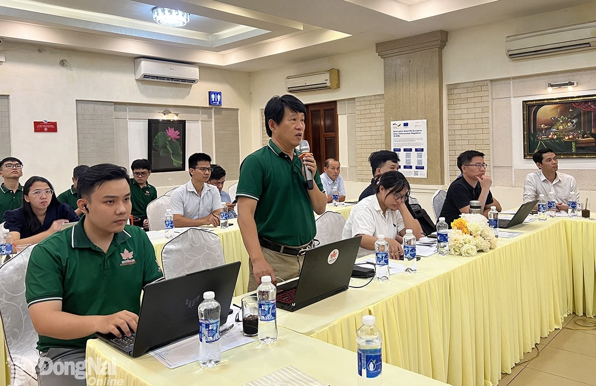 CEO của Công ty CP Eco Technology 2A Nguyễn Công Ấn: Ứng dụng công nghệ không còn là tùy chọn mà là điều kiện bắt buộc để xuất khẩu vào châu Âu